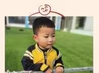 喂喂小动物and送小鸟回家