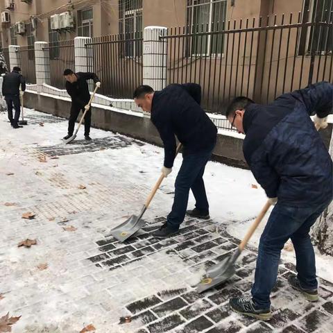 铲雪除冰保畅通——城建干校全员出动挥锹铲雪