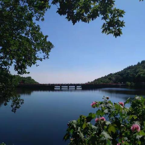 2018年福建省壮腰工程省级培训（语文班）第二期培训简报