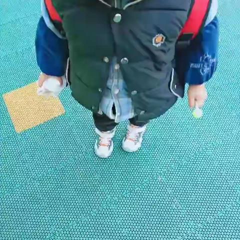 智慧树幼儿园中二班11.29～12.3幼儿日常