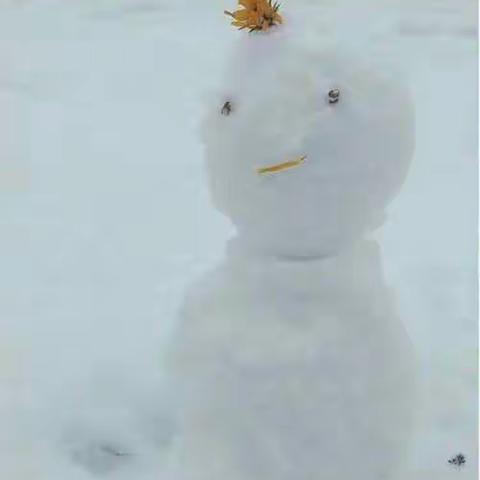 高三（14）班学生的雪中情