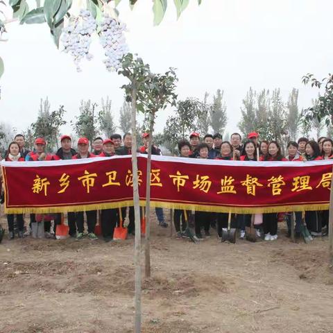 卫滨区市场监督管理局开展义务植树活动