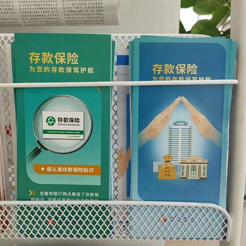 石城建行存款保险宣传