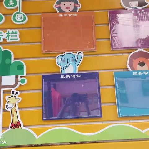 厦门市湖里区精英幼儿园招生通告