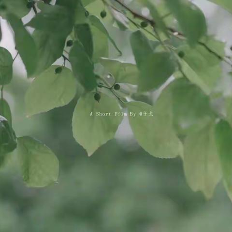 【吾悦华府】四月施工进展（三）