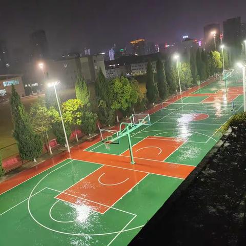 秋雨入夜