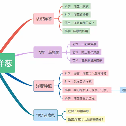 神奇的洋葱―琴山幼儿园中二班课程故事