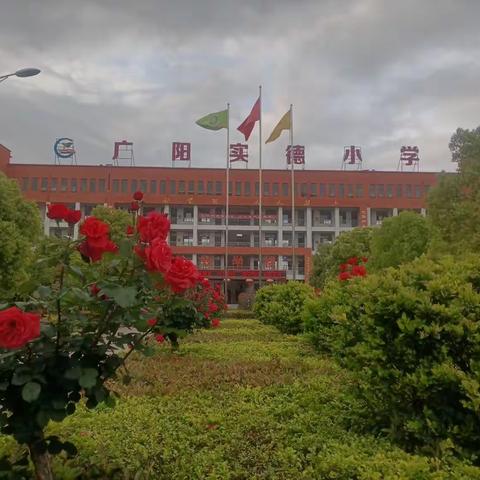 走廉洁之路 做美德少年——广阳实德小学清廉进校园美篇