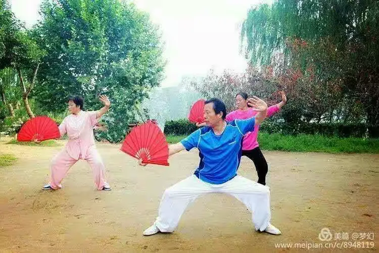 太极功夫扇
