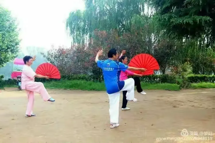 太极功夫扇