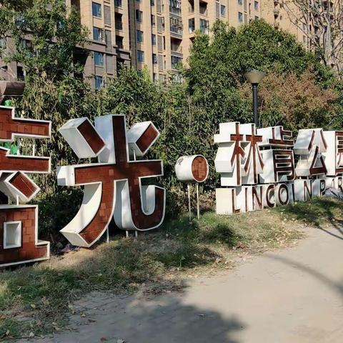 蓝光林肯公园113户型解析