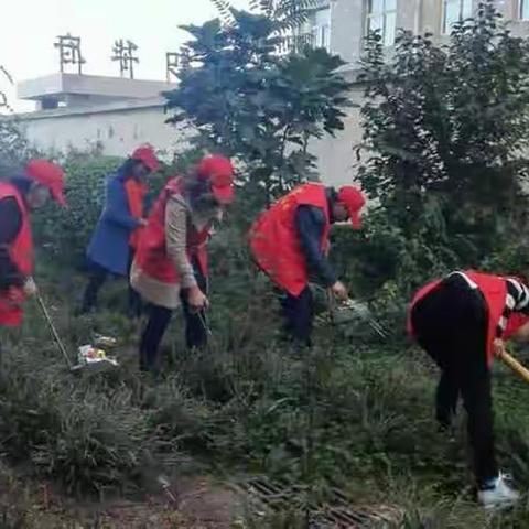 杜甫路街道：志愿者开展环境卫生整治 助推全国文明城市创建