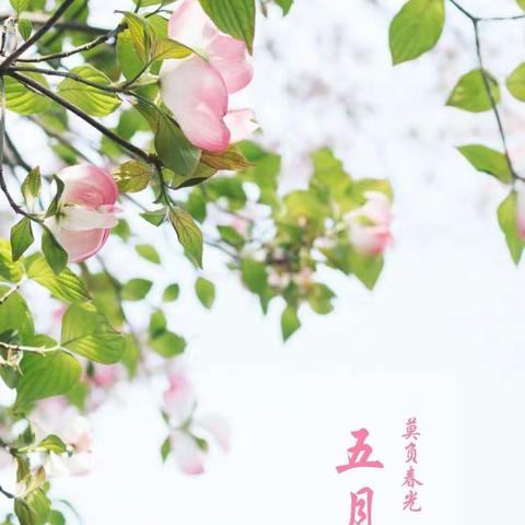 九（3）班  第十二周工作总结