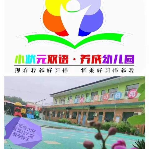 小状元双语养成幼儿园——西街小学研学之旅