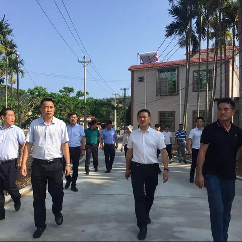周俊副市长调研三亚乡村产业工作