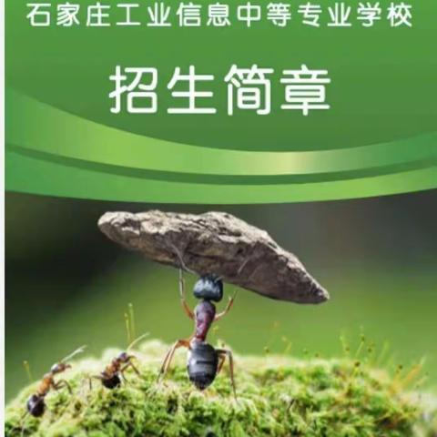 石家庄工业信息学校火热报名…报考代码61