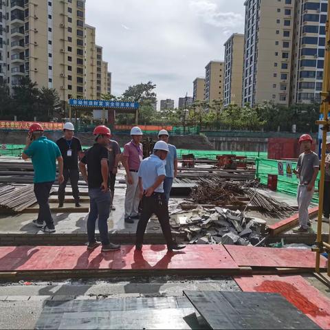 坚持党建引领自贸港建设，保质量，促发展。