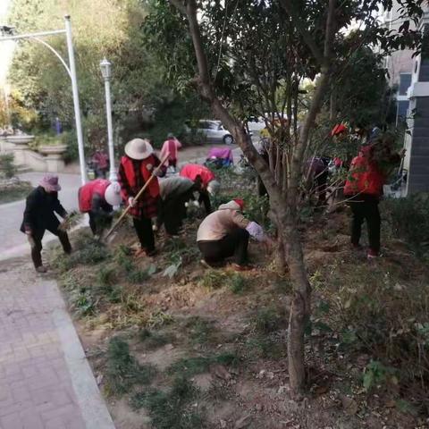 名河雅居“找短板””补短板”常态长效工作动态！