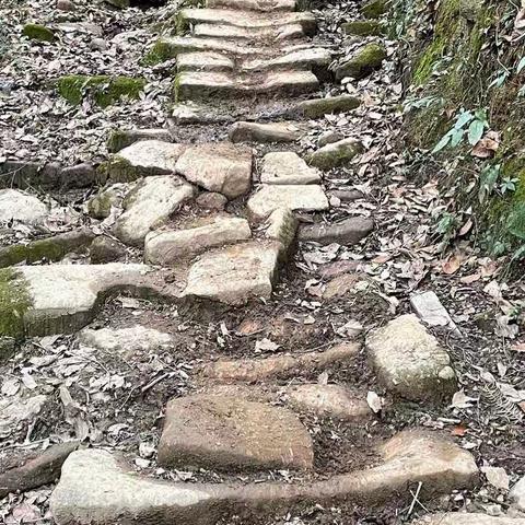 寻路青城骡马道 官家糟蹋空山清