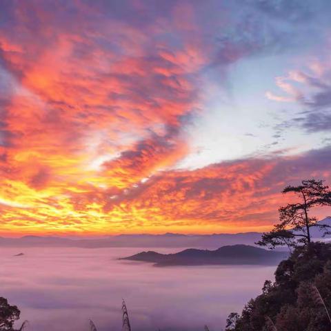 龙栖山，一个让人来了再来的地方