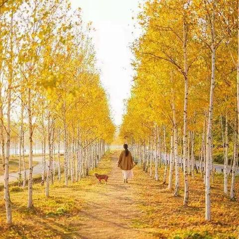 【额敏县乔乔幼儿园】大五班开展“秋风送爽、秋风怡人”主题活动