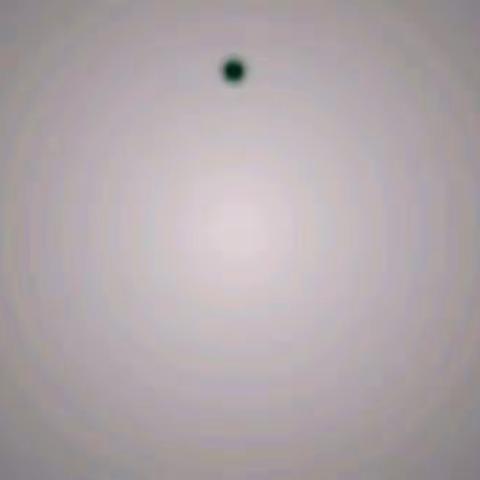 庆祝深圳市木兰拳协会成立10周年总结表彰联欢会