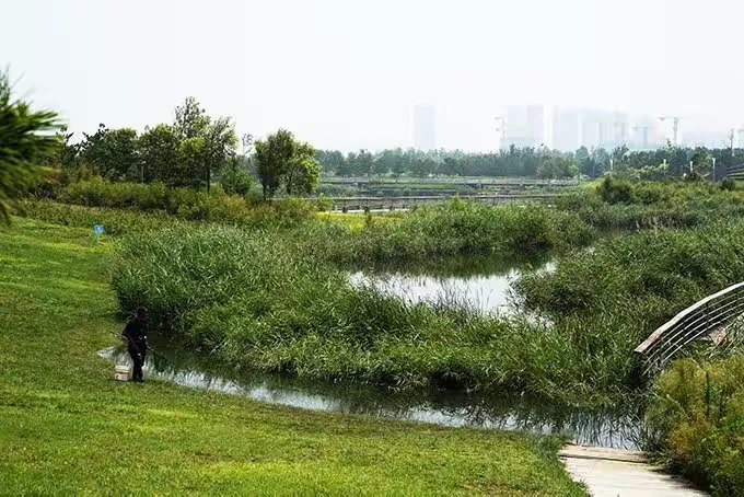 哈尔滨金沙滩湿地图片