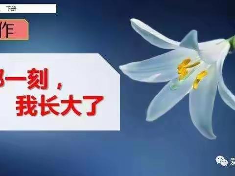 五年级语文习作“那一刻，我长大了”作品展示