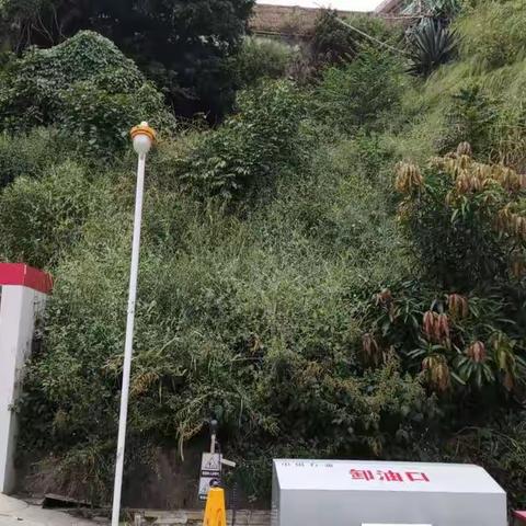 除草护坡消隐患美化环境迎二十大