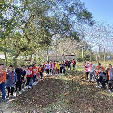 《劳动砺心志，劳动促成长》古兆中心小学蔬菜种植活动