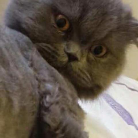 俺家爱宠！！😄