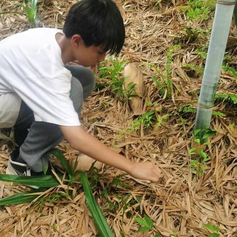 生物专题与水火箭的学习