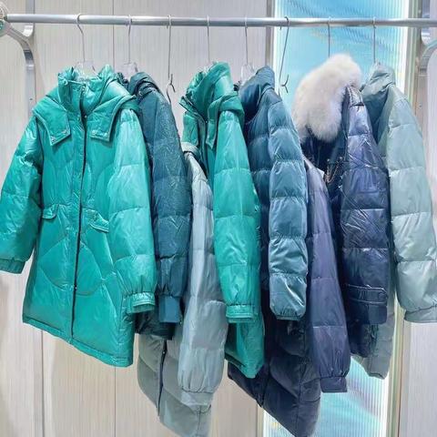 九天国际领袖品牌【蒂凡茜·DIFANXI】羽绒服23冬