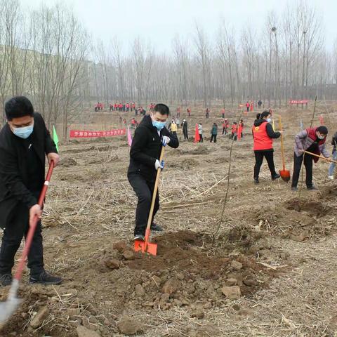 不负春光植树忙！矿市街道开展植树活动