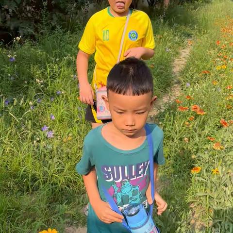 石根兰的美篇