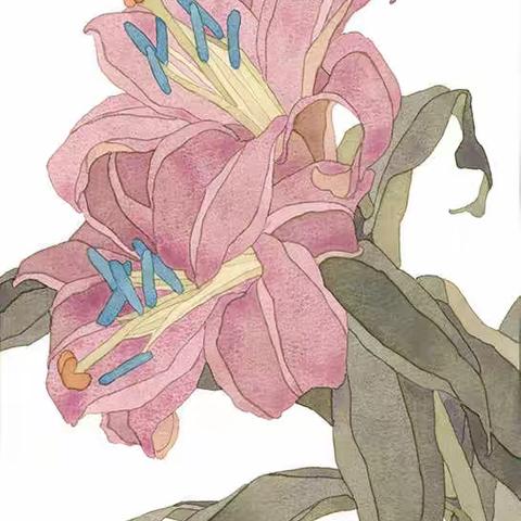 庚子之春：花卉的色彩采集与置换系列（三）    作者：戴志文