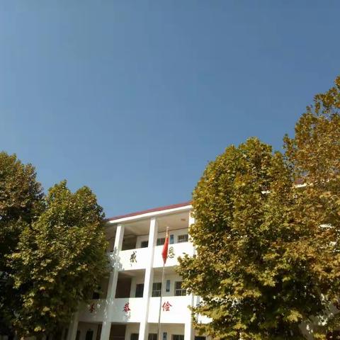 金秋十月桂飘香，诗意桃小美如画！