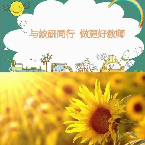 初心勇奋进，逐梦赴远航------向阳学校中学部文科组十一月掠影