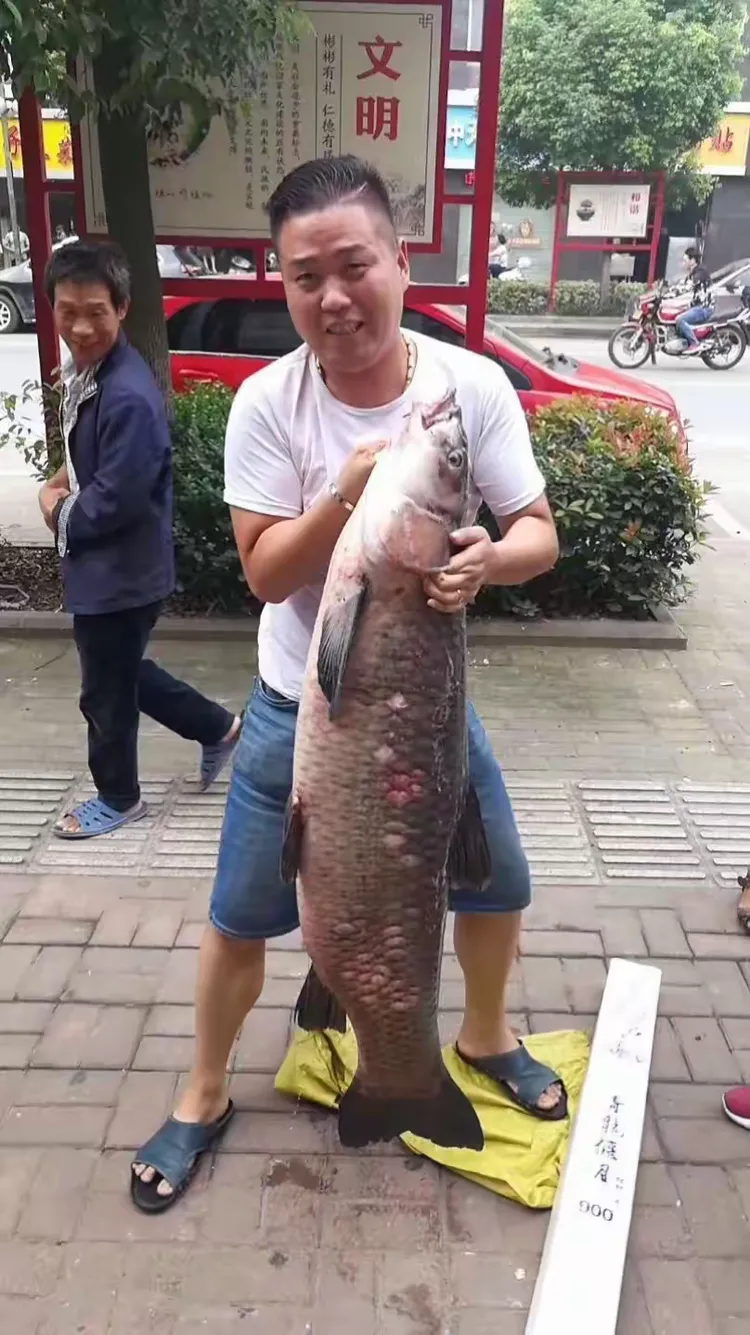 杰结精工.猎鲟一号!图片视频集!