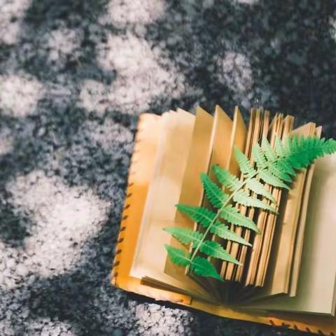 精准把握教学目标 有效进行教学设计｜福庄小学教师研修活动