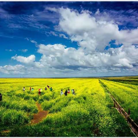 2018年夏. 美丽青海行