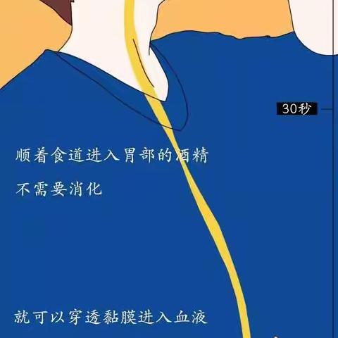 汹酒后24小时身体状况详解图