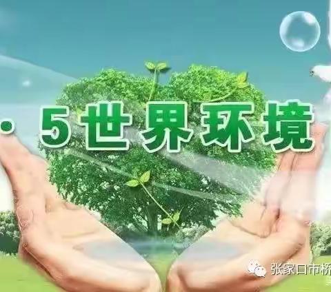 环境保护，从我做起——世界环境日活动