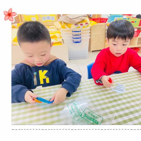 科学活动：《眼睛里的世界》