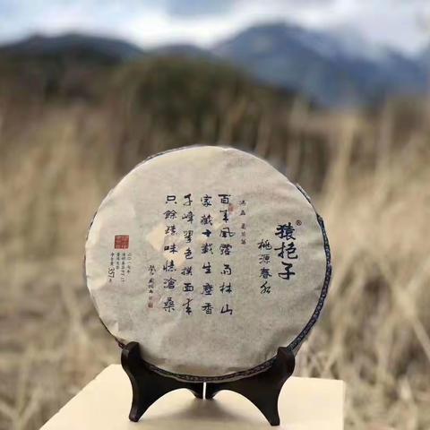 猿抱子古树茶回馈新老客户