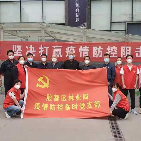 殷都林业的美篇