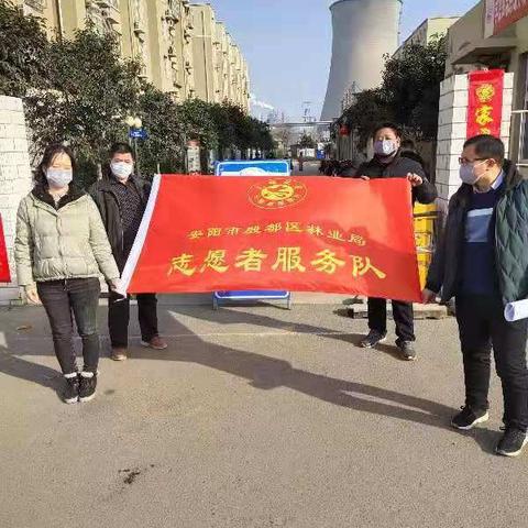 殷都区林业局                                           同舟共济  众志成城  抗击疫情