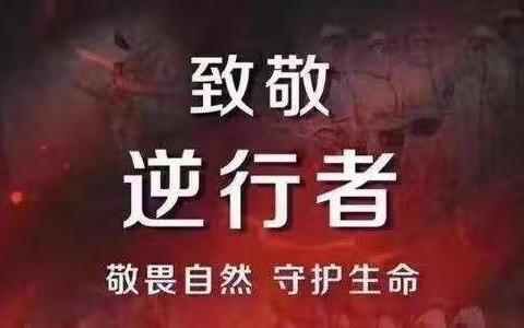 临沂一小东关校区四年级一班师生向逆行者致敬