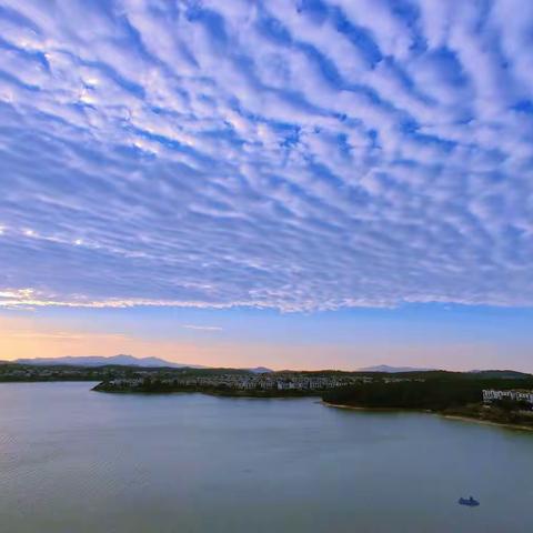 猎户座还有何秘密？可让我们仰望星空 祈愿安好！(翻唱星河)