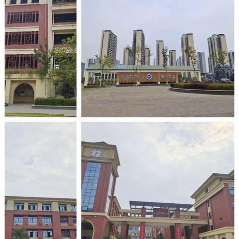 观摩历史优质课，感悟教学多元化